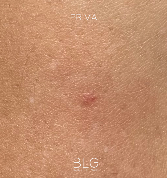 Barbara_la-gatta_mobile20