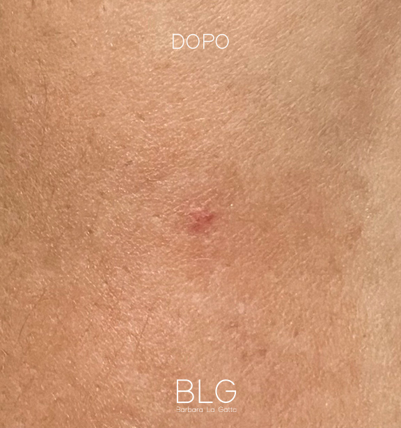 Barbara_la-gatta_mobile21